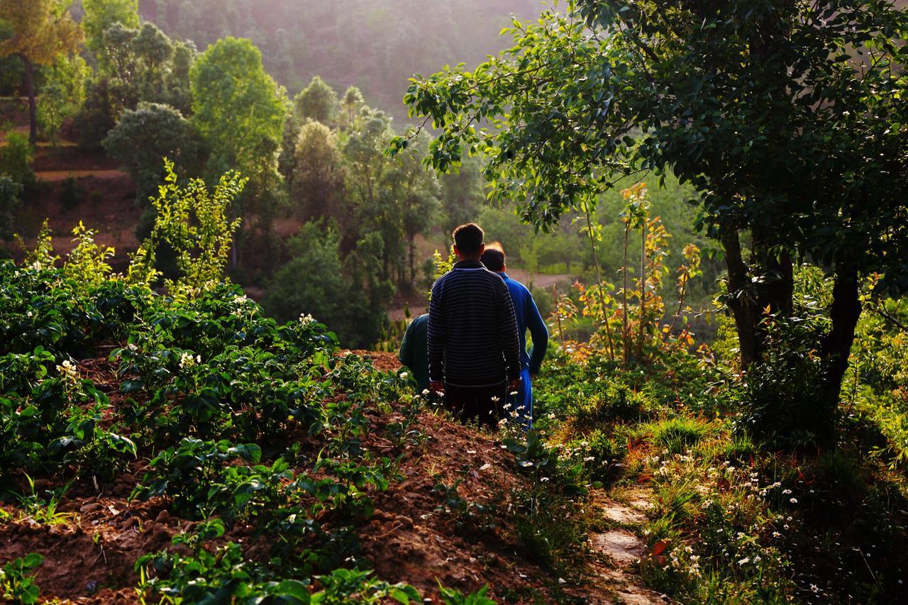 Chirping Orchard, Mukteshwar Bed & Breakfast Ngoại thất bức ảnh